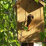 Bed & Breakfast Zakatek Warminski