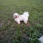 Zakatek Warminski Płoskinie