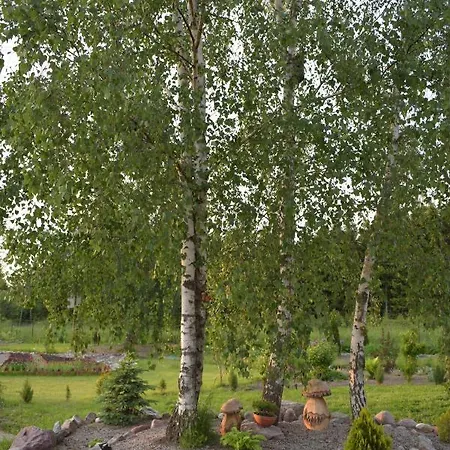 Bed & Breakfast Zakatek Warminski Płoskinie