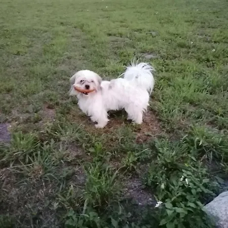 Zakatek Warminski Płoskinie