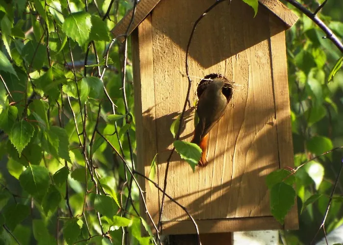 Bed & Breakfast Zakatek Warminski