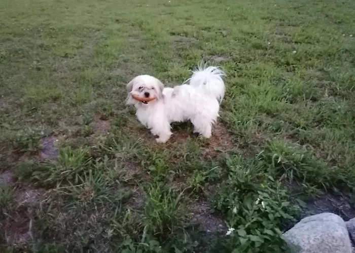 Zakatek Warminski Płoskinie