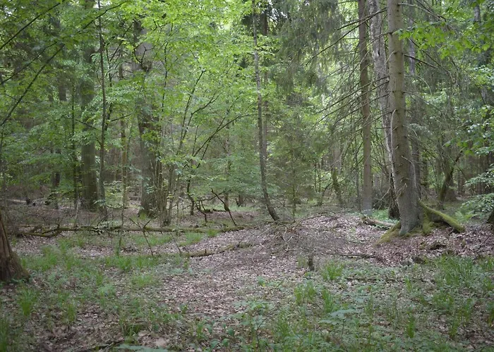 Bed & Breakfast Zakatek Warminski 3*