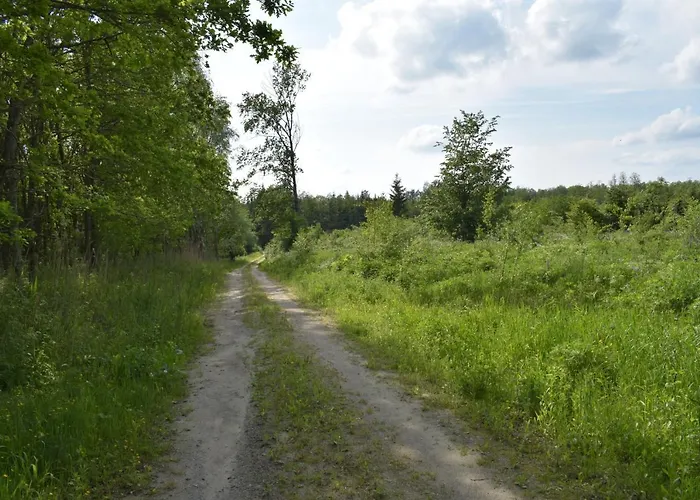 Bed & Breakfast Zakatek Warminski 3*